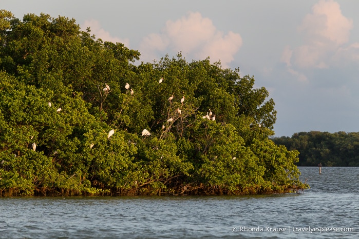 travelyesplease.com | Exploring Everglades National Park