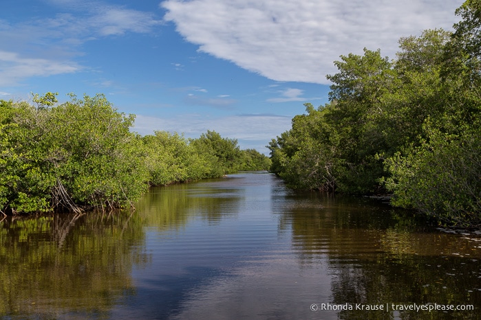 travelyesplease.com | Exploring Everglades National Park