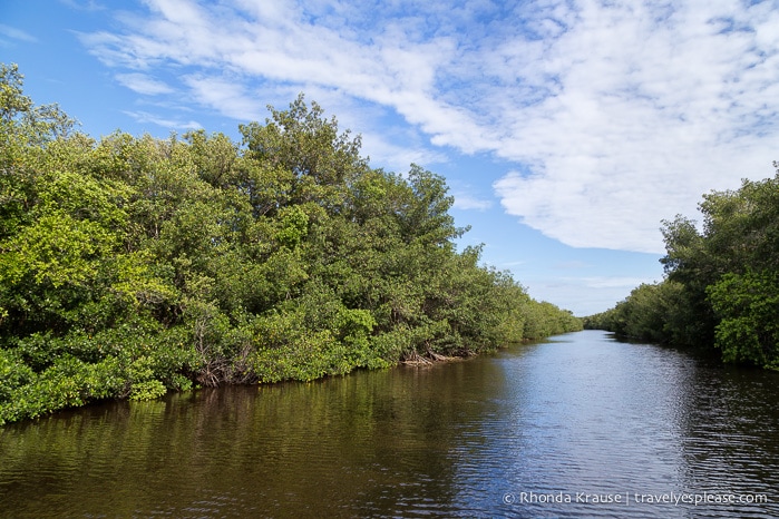 travelyesplease.com | Exploring Everglades National Park