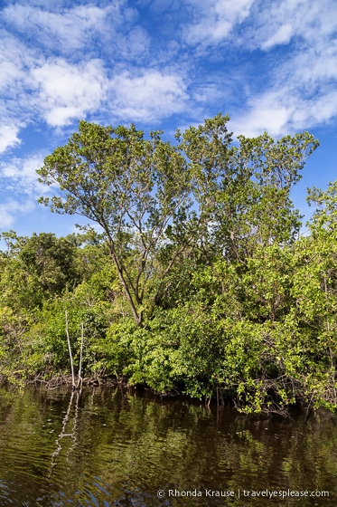 travelyesplease.com | Exploring Everglades National Park