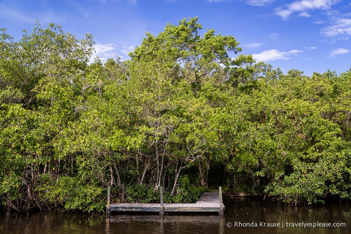 travelyesplease.com | Exploring Everglades National Park