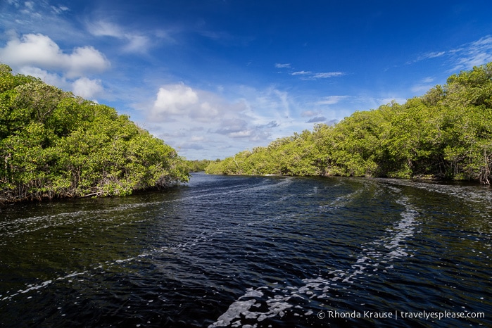 travelyesplease.com | Exploring Everglades National Park