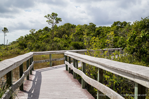 travelyesplease.com | Exploring Everglades National Park