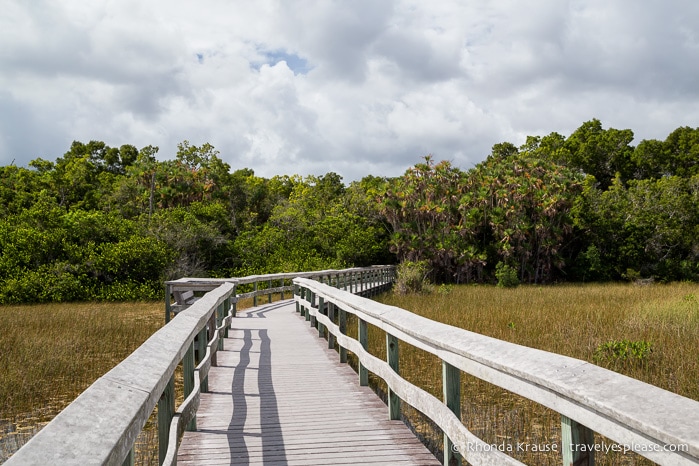 Exploring Everglades National Park- Places to Visit in Two Days