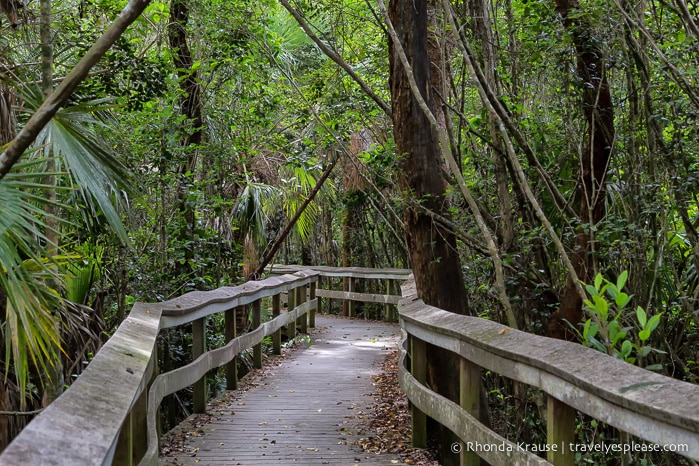 travelyesplease.com | Exploring Everglades National Park