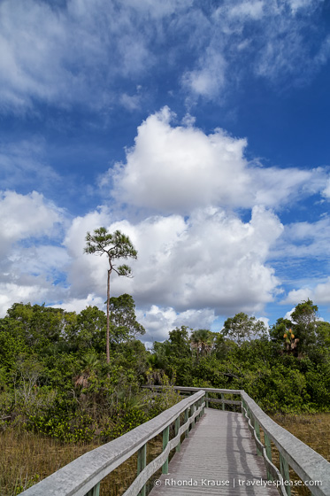 travelyesplease.com | Exploring Everglades National Park