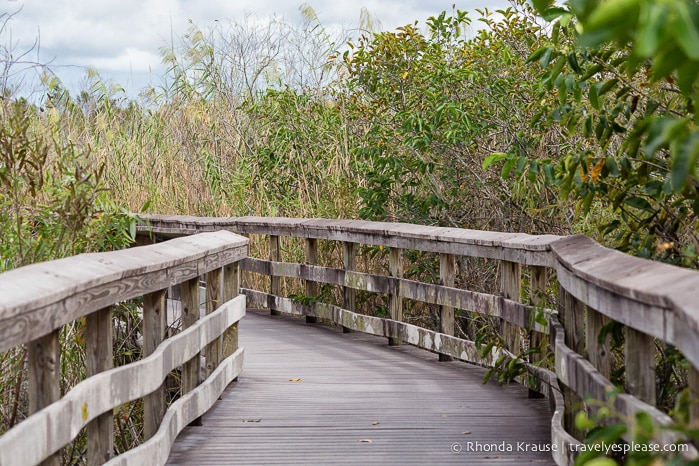 travelyesplease.com | Exploring Everglades National Park