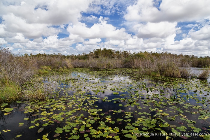 travelyesplease.com | Exploring Everglades National Park