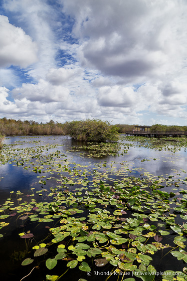 travelyesplease.com | Exploring Everglades National Park