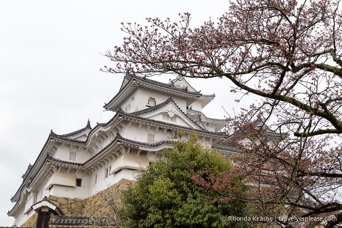 travelyesplease.com | Himeji Castle- A National Treasure of Japan