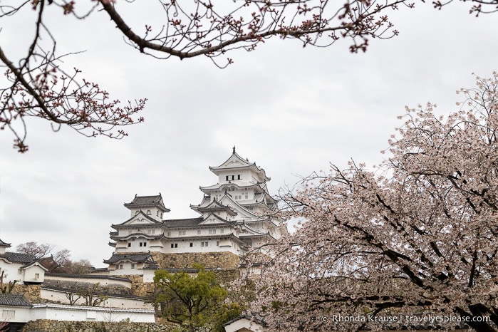 travelyesplease.com | Himeji Castle- A National Treasure of Japan