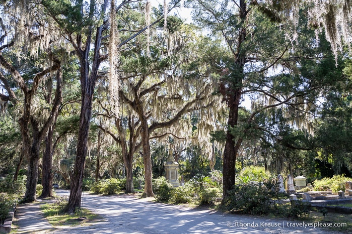 travelyesplease.com | The Haunting Beauty of Bonaventure Cemetery, Savannah