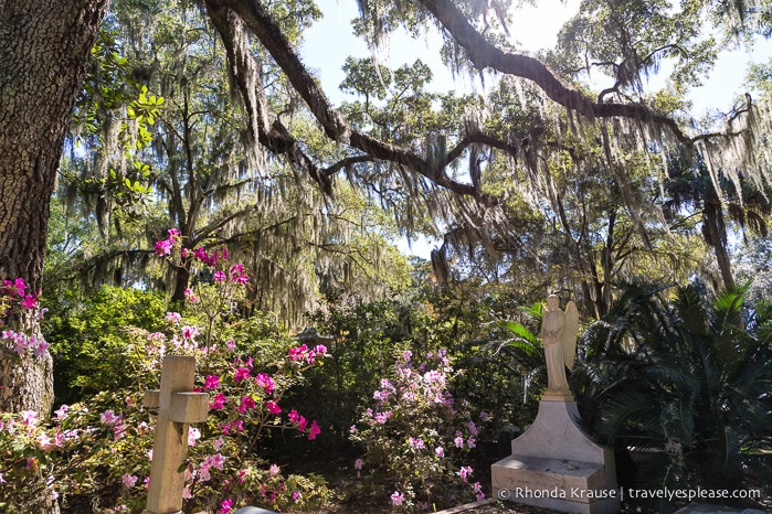 travelyesplease.com | Tour of Bonaventure Cemetery, Savannah