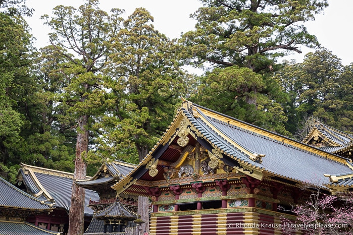 travelyesplease.com | Nikko Toshogu Shrine- Japan's Most Lavishly Decorated Shrine