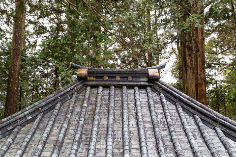 travelyesplease.com | Nikko Toshogu Shrine- Japan's Most Lavishly Decorated Shrine
