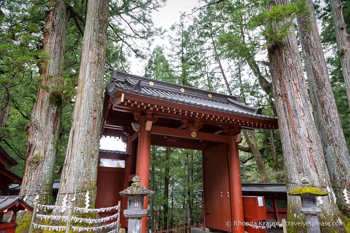 travelyesplease.com | A Day Trip to Nikko, Japan