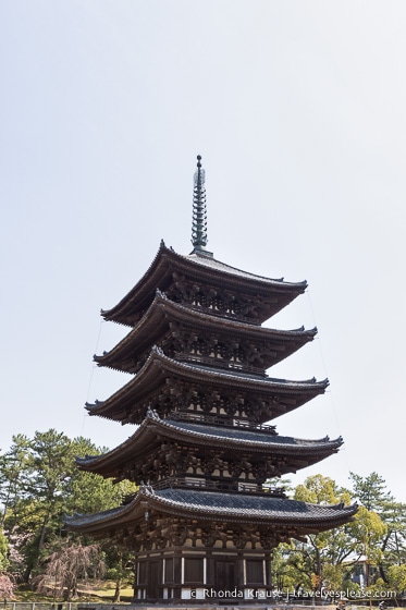 travelyesplease.com | Exploring Nara Park- Temples, Shrines and Deer!