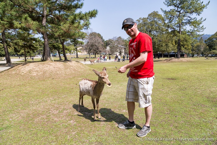 travelyesplease.com | Feeding Deer in Nara Park