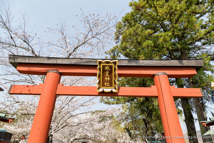 travelyesplease.com | Exploring Nara Park- Temples, Shrines and Deer!