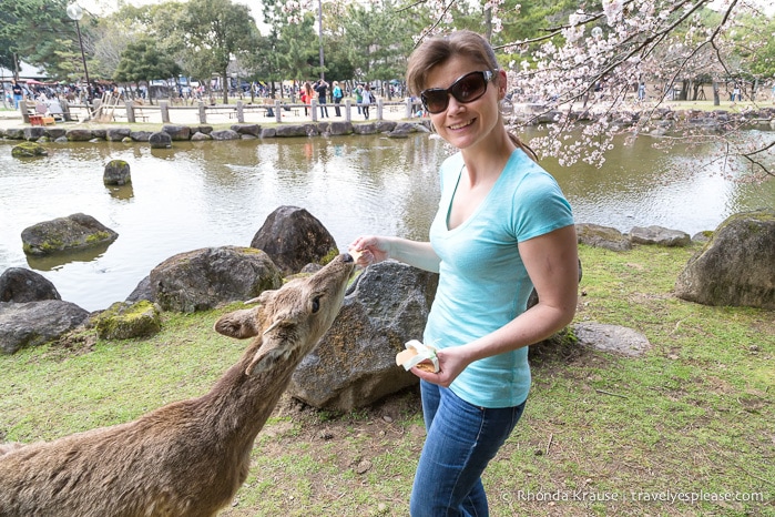 travelyesplease.com | Exploring Nara Park- Temples, Shrines and Deer!