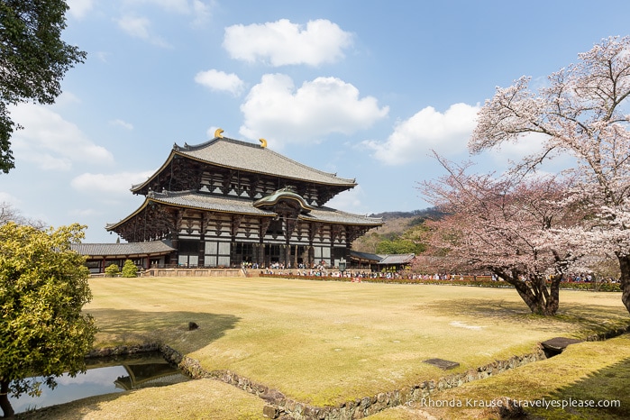 travelyesplease.com | Exploring Nara Park- Temples, Shrines and Deer!