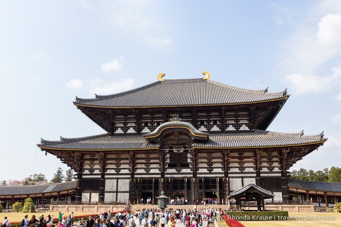 travelyesplease.com | Exploring Nara Park- Temples, Shrines and Deer!