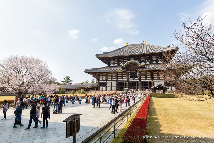 travelyesplease.com | Exploring Nara Park- Temples, Shrines and Deer!