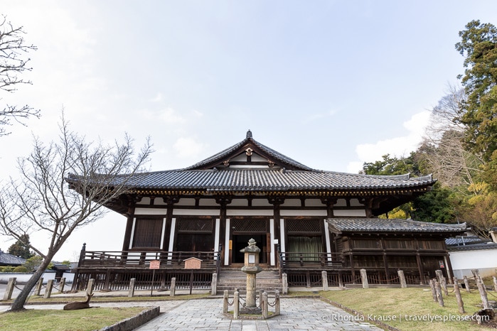 travelyesplease.com | Exploring Nara Park- Temples, Shrines and Deer!