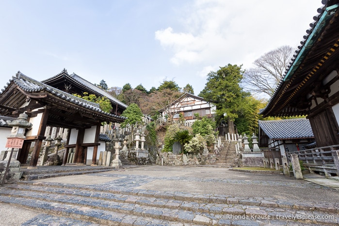 travelyesplease.com | Exploring Nara Park- Temples, Shrines and Deer!