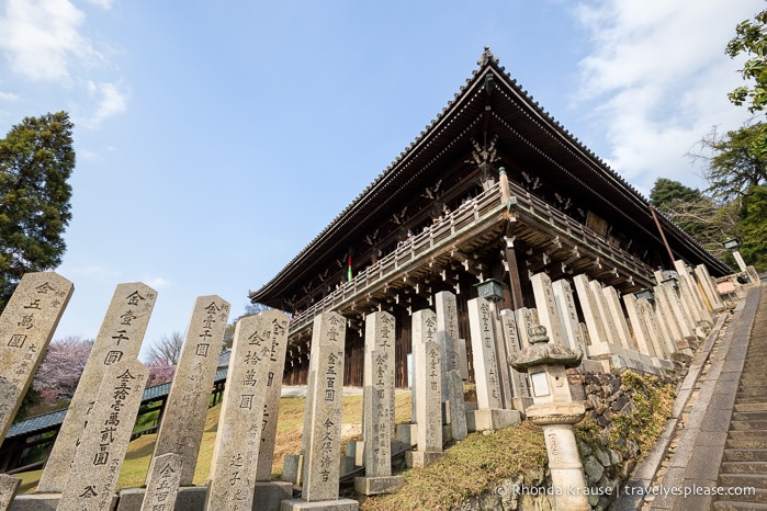 travelyesplease.com | Exploring Nara Park- Temples, Shrines and Deer!