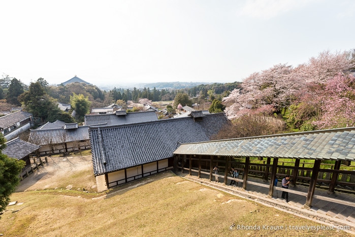 travelyesplease.com | Exploring Nara Park- Temples, Shrines and Deer!