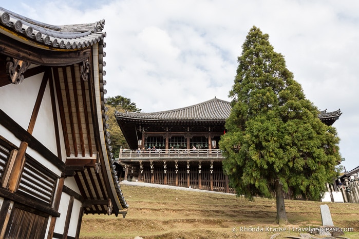 travelyesplease.com | Exploring Nara Park- Temples, Shrines and Deer!