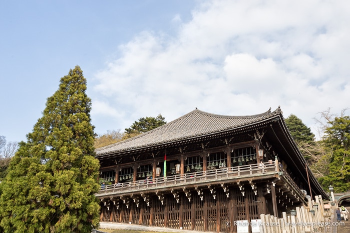 travelyesplease.com | Exploring Nara Park- Temples, Shrines and Deer!