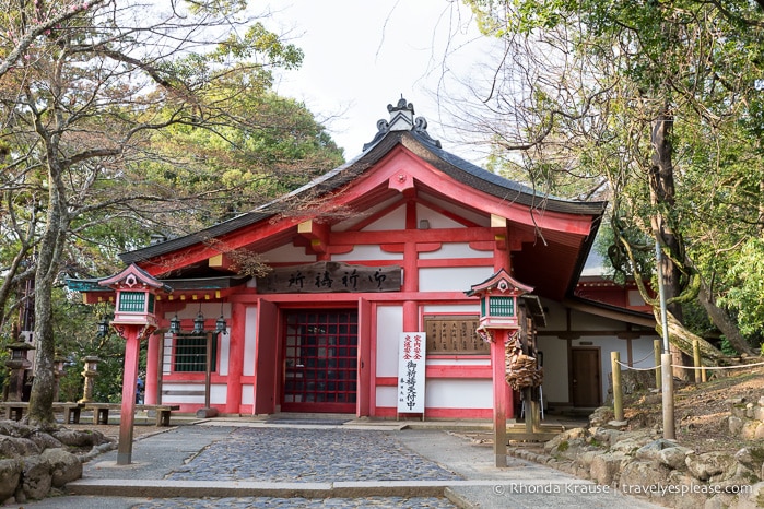 travelyesplease.com | Exploring Nara Park- Temples, Shrines and Deer!