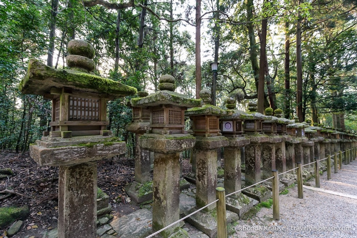 travelyesplease.com | Exploring Nara Park- Temples, Shrines and Deer!