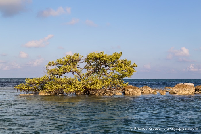 travelyesplease.com | Boat Tour of Islamorada- Visiting Bloodline Filming Locations