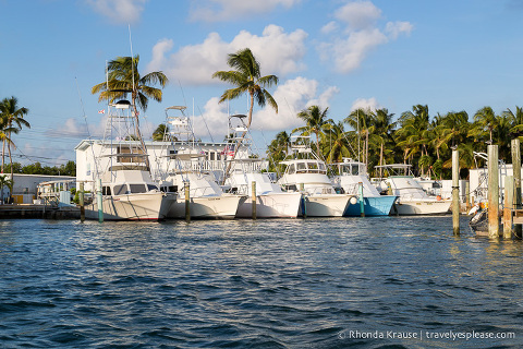 travelyesplease.com | Boat Tour of Islamorada- Visiting Bloodline Filming Locations