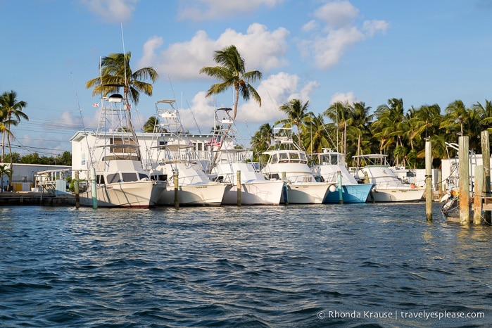 travelyesplease.com | Boat Tour of Islamorada- Visiting Bloodline Filming Locations