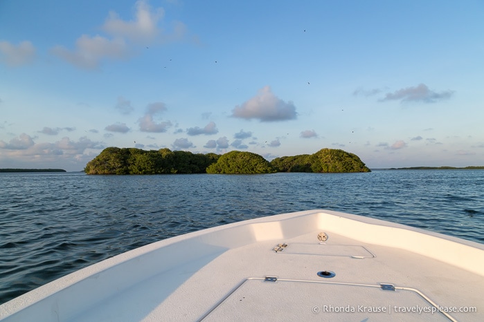 travelyesplease.com | Boat Tour of Islamorada- Visiting Bloodline Filming Locations