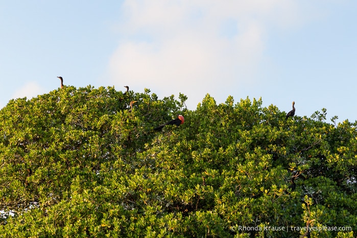 travelyesplease.com | Boat Tour of Islamorada- Visiting Bloodline Filming Locations