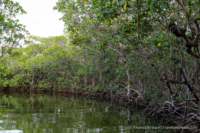 travelyesplease.com | Boat Tour of Islamorada- Visiting Bloodline Filming Locations