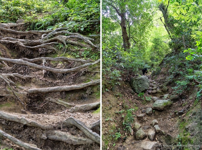 travelyesplease.com | Climbing Mount Mitoku- The Trek to Nageiredo Hall