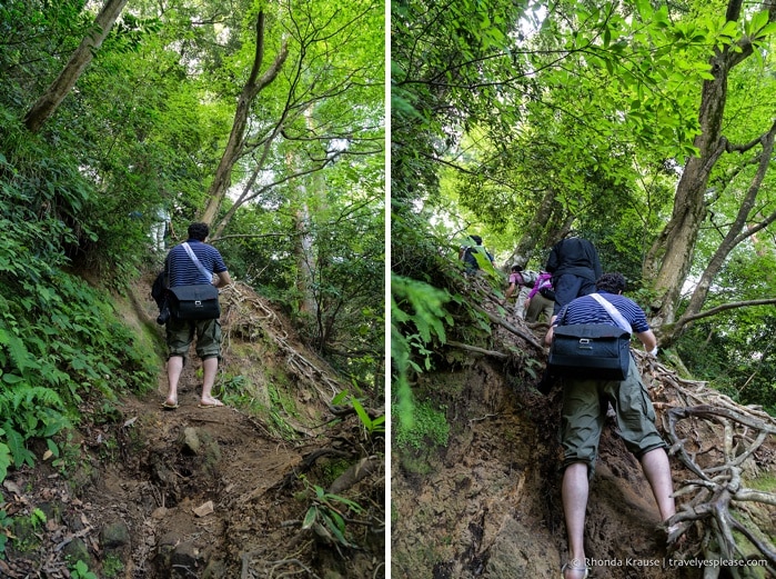 travelyesplease.com | Climbing Mount Mitoku- The Trek to Nageiredo Hall