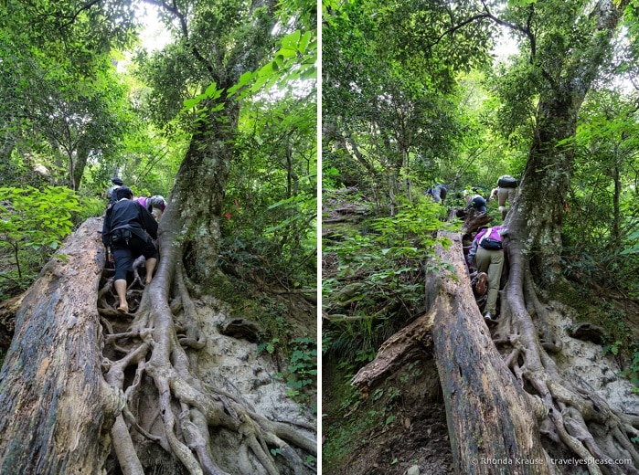 travelyesplease.com | Climbing Mount Mitoku- The Trek to Nageiredo Hall