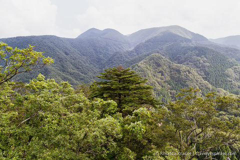travelyesplease.com | Climbing Mount Mitoku- The Trek to Nageiredo Hall