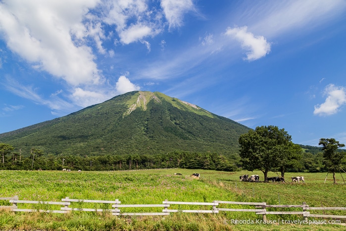 travelyesplease.com | How to Spend 3 Days in Tottori, Japan- My Itinerary 