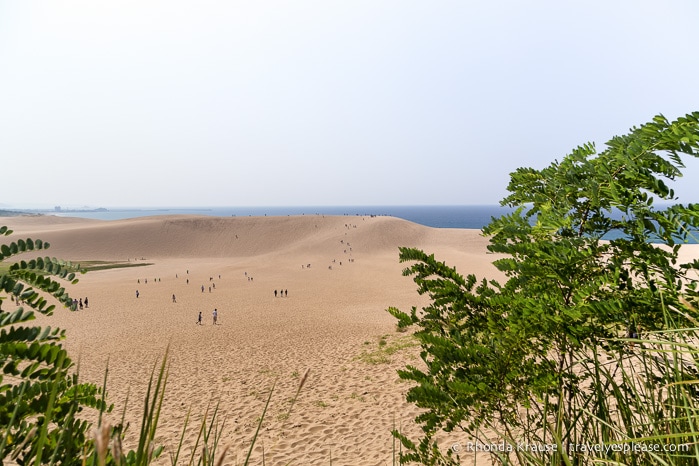 travelyesplease.com | The Tottori Sand Dunes- Enjoying Japan's Largest Dunes