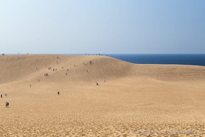 travelyesplease.com | The Tottori Sand Dunes- Enjoying Japan's Largest Dunes