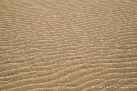 travelyesplease.com | The Tottori Sand Dunes- Enjoying Japan's Largest Dunes