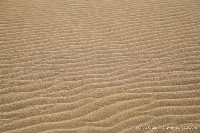 travelyesplease.com | The Tottori Sand Dunes- Enjoying Japan's Largest Dunes